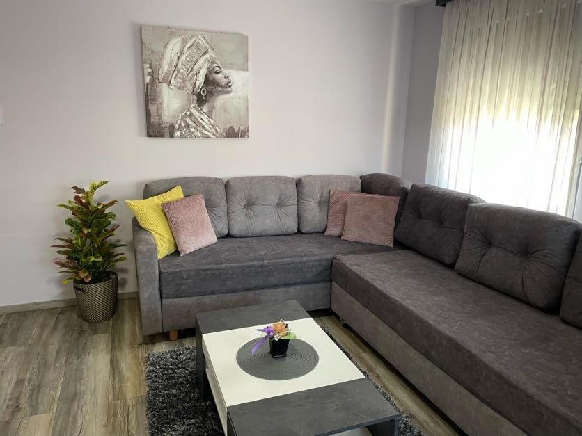 Apartments Dora Sveti Martin Na Muri Bagian luar foto